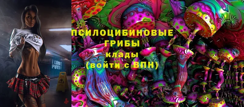 Галлюциногенные грибы MAGIC MUSHROOMS  Донецк 